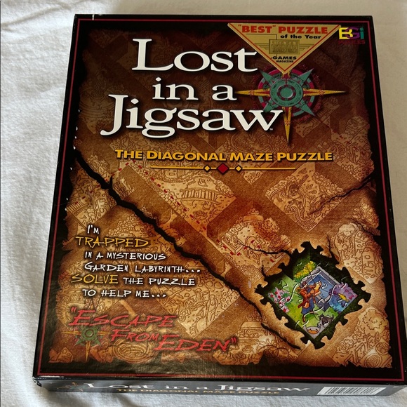 BGI Other - Lost in a Jigsaw - Brown Diagonal Maze Puzzle